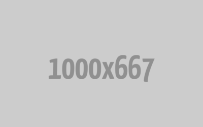 Skill-Builder Workshops